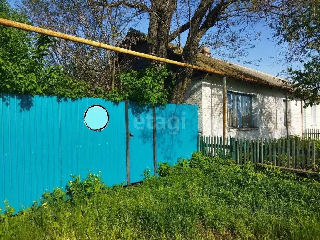 Дом в Белгородская область, Волоконовский район, с. Грушевка  (54 м) - Фото 0
