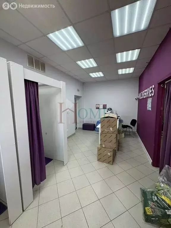 Помещение свободного назначения (37.7 м) - Фото 2