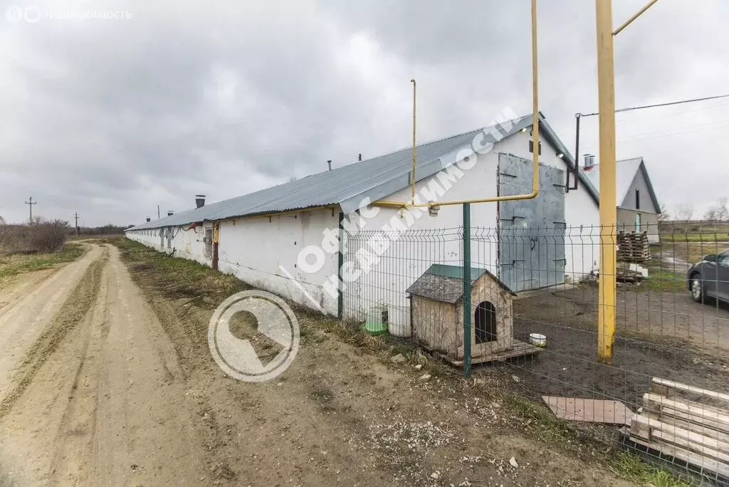 Помещение свободного назначения (1239.7 м) - Фото 0