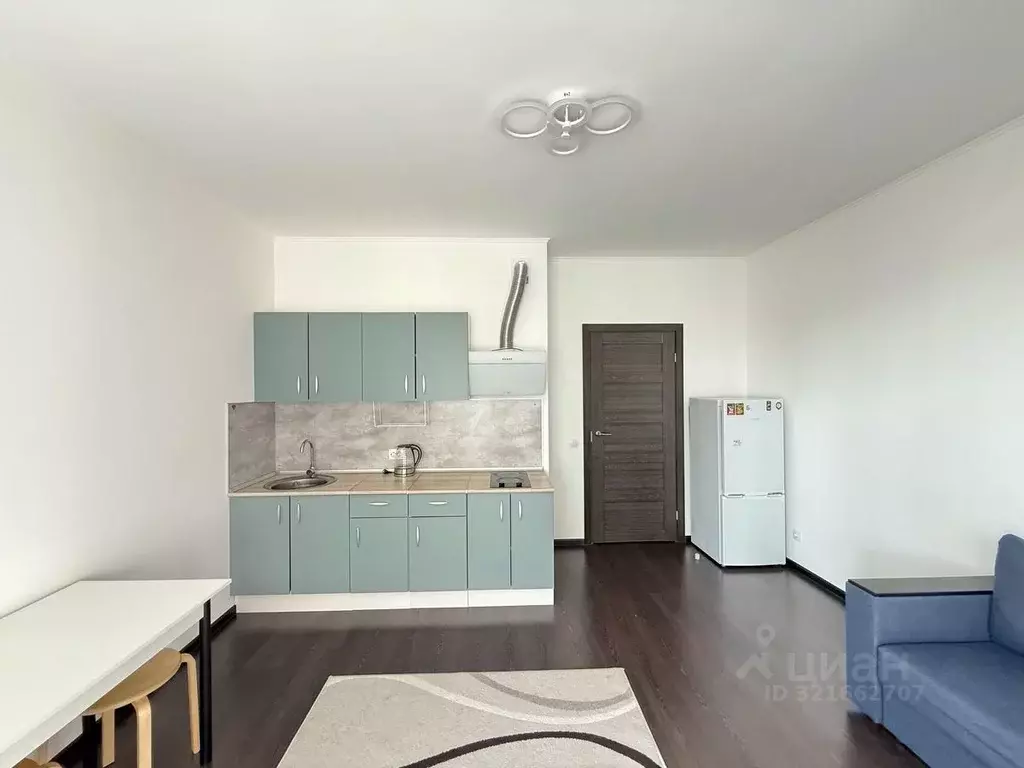 Студия Санкт-Петербург аллея Арцеуловская, 19 (26.0 м) - Фото 0