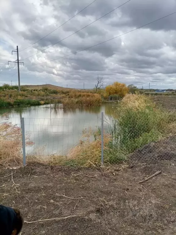 Участок в Ставропольский край, Шпаковский муниципальный округ, пос. ... - Фото 2