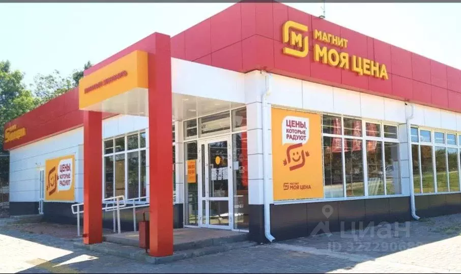 Торговая площадь в Пензенская область, Пенза Насосная ул., 1 (270 м) - Фото 1