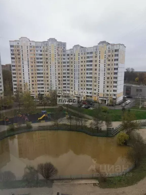 1-к кв. Московская область, Щелково Центральная ул., 96к2 (43.5 м) - Фото 1