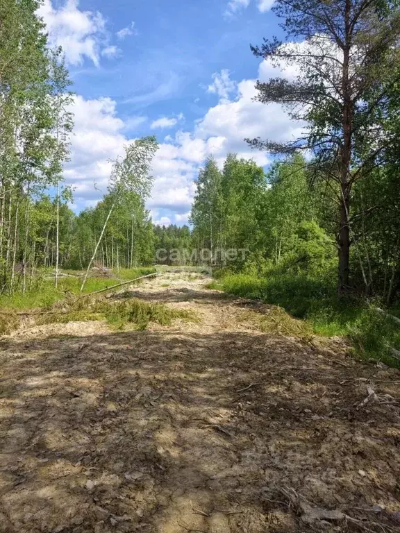 Участок в Ленинградская область, Тосно г. Тосненский район, Тосненское ... - Фото 1