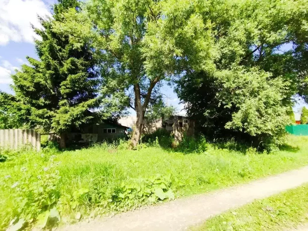 Участок в Медынь, улица Коммуны (7.87 м) - Фото 0
