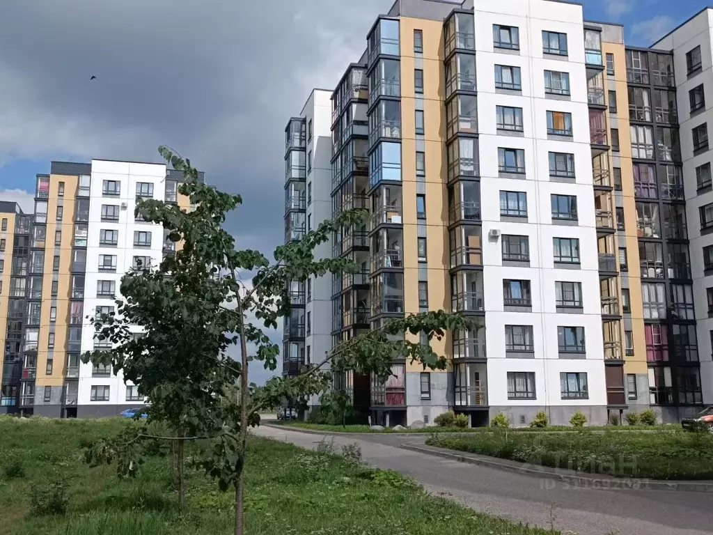 Студия Новгородская область, Великий Новгород наб. Колмовская, 85 ... - Фото 0