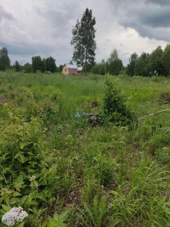 Участок в Тюменская область, Нижнетавдинский район, Виктория ТСН ул. ... - Фото 1