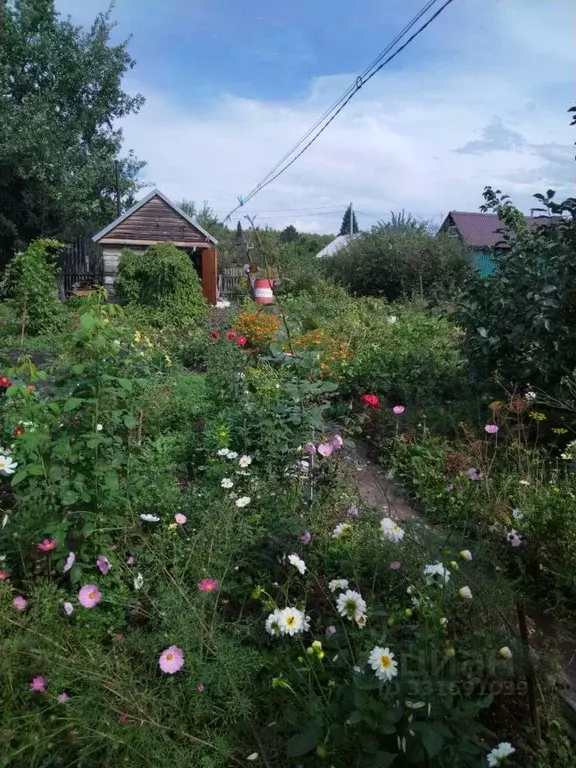 Дом в Алтайский край, Барнаул Аэрофлот СНТ, ул. Южная (25 м) - Фото 2