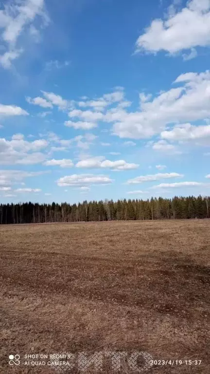 Участок в Вологодская область, Череповецкий район, Югское ... - Фото 0