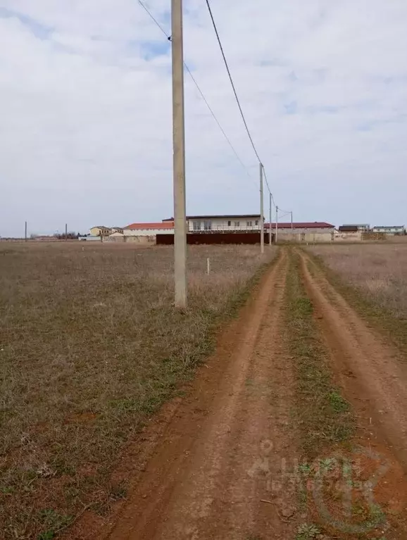 Участок в Крым, Сакский район, Молочненское с/пос, с. Витино  (6.0 ... - Фото 1