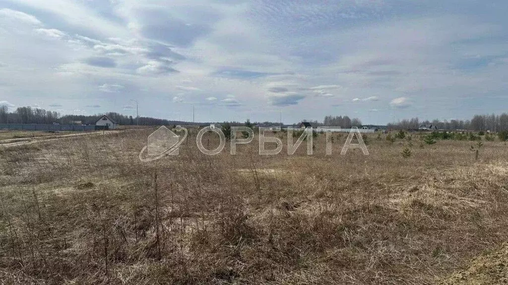 Участок в Тюменская область, Тюменский район, Новокаменский кп ул. ... - Фото 0