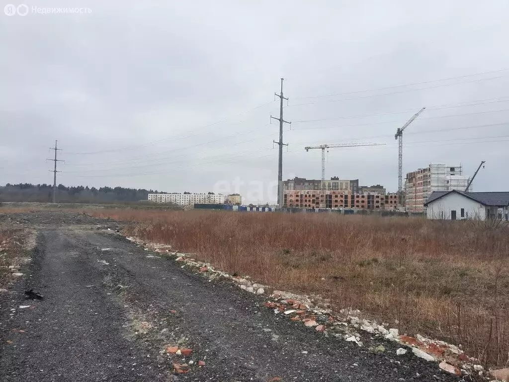 Участок в Зеленоградск, посёлок Вишнёвое (8 м) - Фото 1