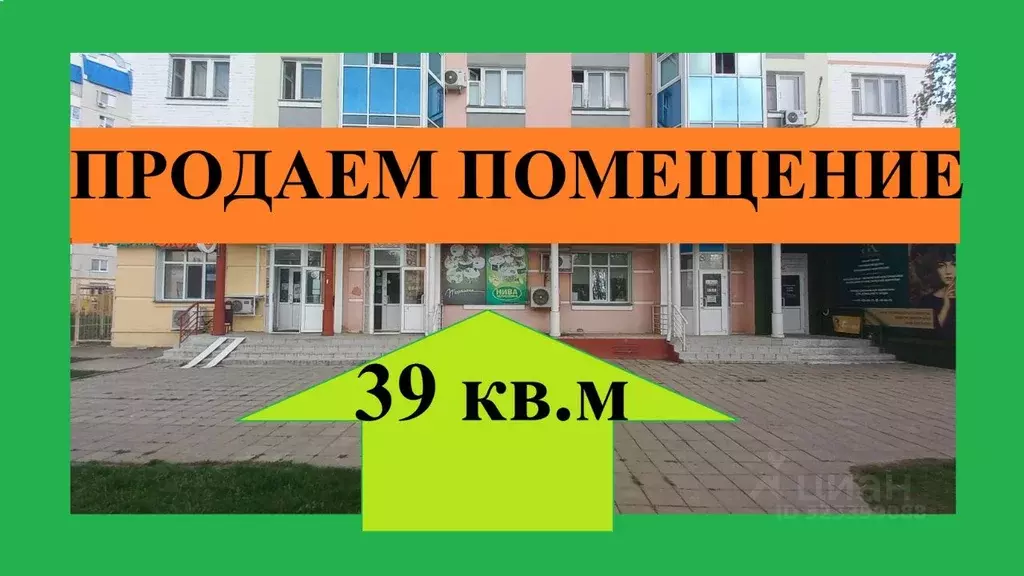 Торговая площадь в Орловская область, Орел Наугорское ш., 88 (39 м) - Фото 1