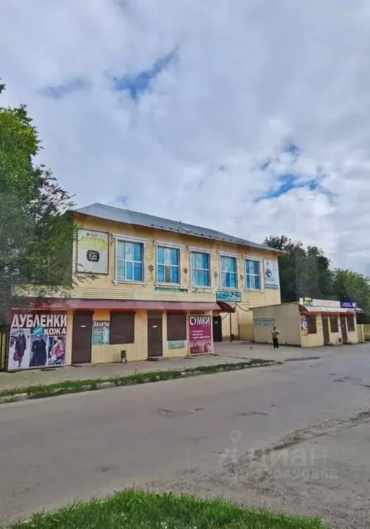 Помещение свободного назначения в Самарская область, Похвистнево ... - Фото 0