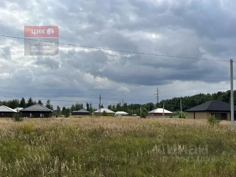 Участок в Рязанская область, Рязанский муниципальный округ, д. ... - Фото 1