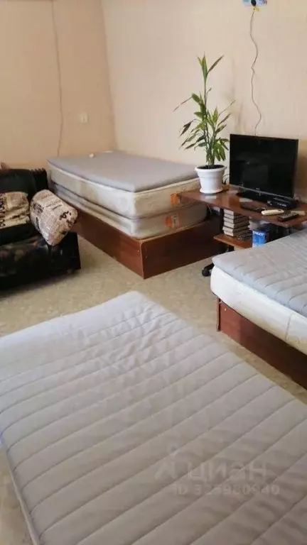 Дом в Краснодарский край, Новороссийск ул. Аршинцева, 24 (70 м) - Фото 2