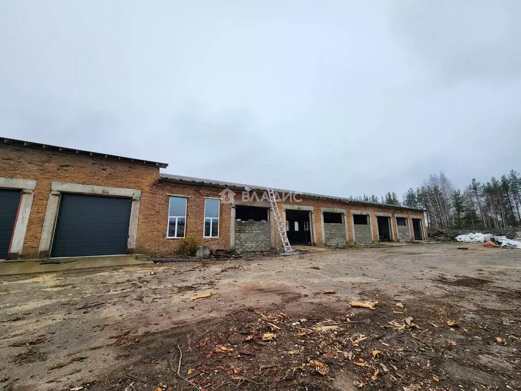 Помещение свободного назначения в Коми, Сыктывкар городской округ, ... - Фото 1