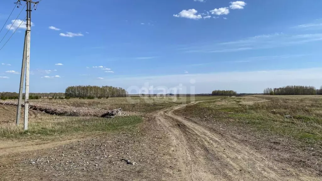 Участок в Тюменская область, Тюменский район, с. Луговое Плодовая ул. ... - Фото 1