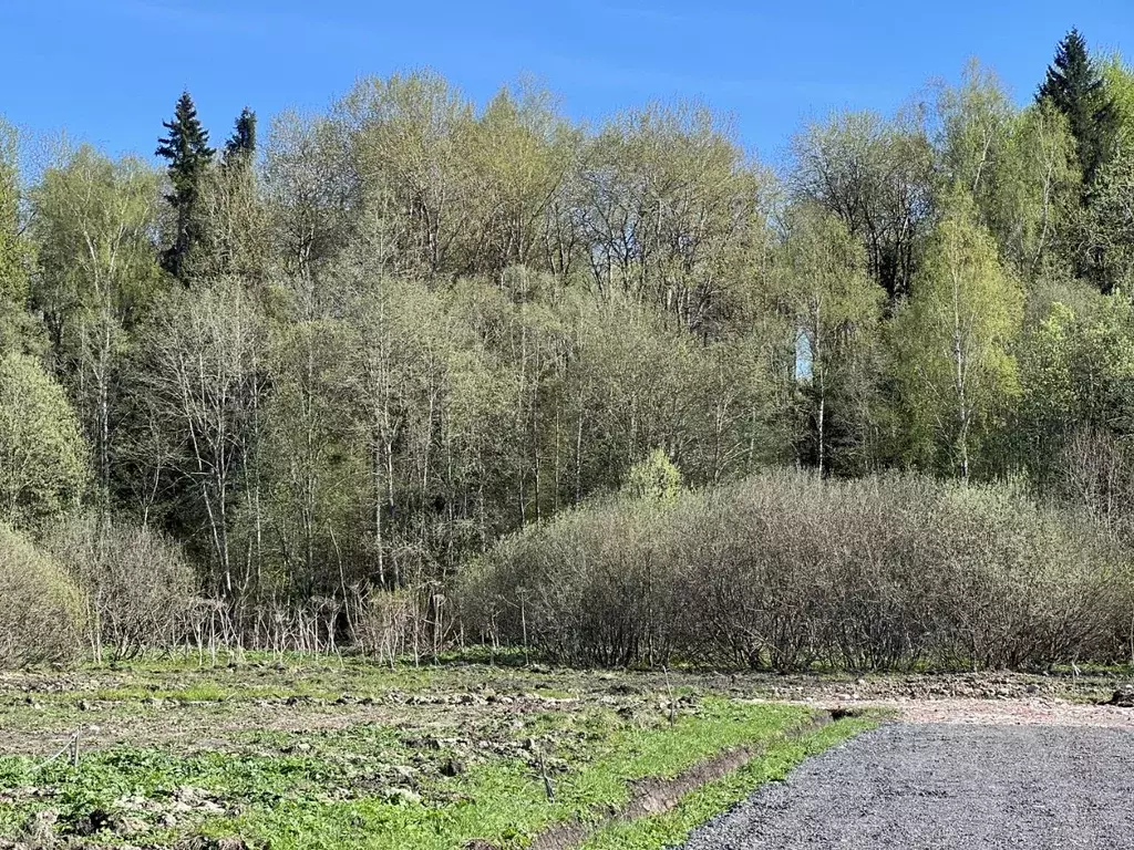 Участок в Московская область, Истра городской округ, Рижские Зори кп  ... - Фото 0