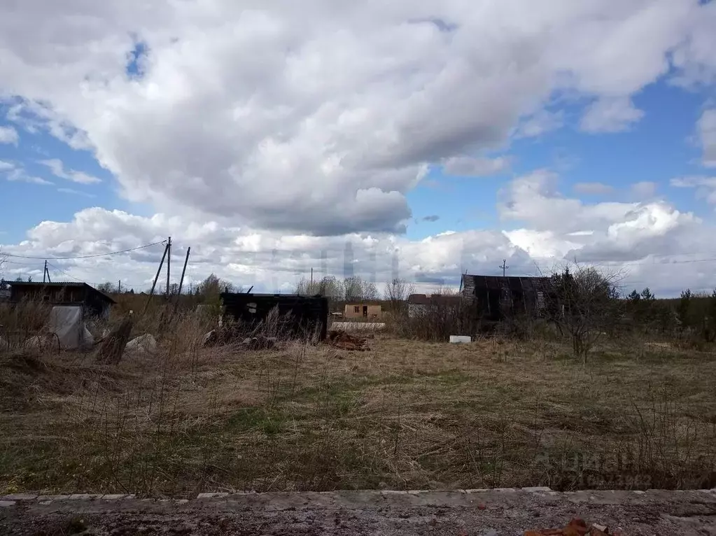 Участок в Вологодская область, Сокольский муниципальный округ, д. ... - Фото 1