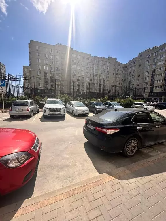 Помещение свободного назначения в Краснодарский край, Анапа ул. ... - Фото 1