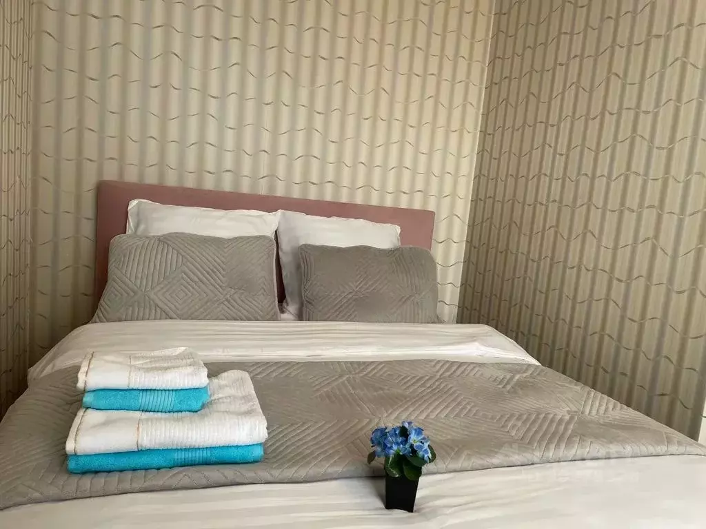 1-к кв. Краснодарский край, Краснодар Центральный мкр, ул. ... - Фото 1