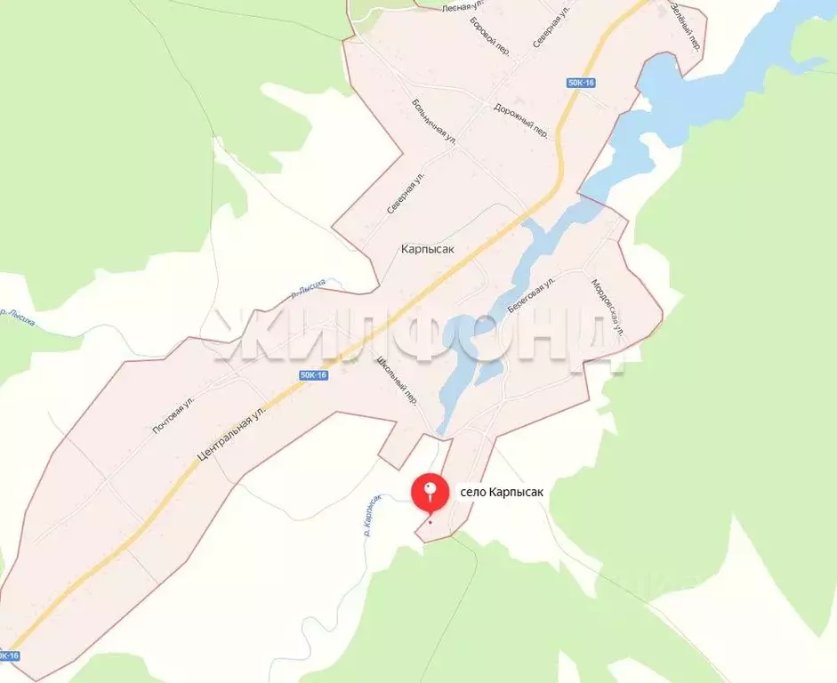 Участок в Новосибирская область, Тогучинский район, с. Карпысак ул. ... - Фото 1