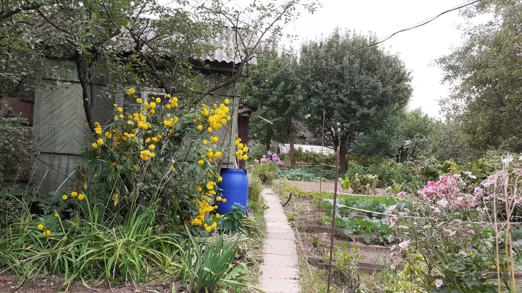 Продается участок в пос. ДСК Мичуринец - Фото 2