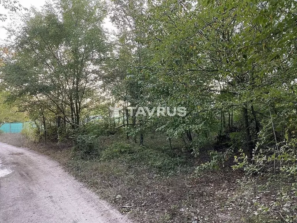 Участок в Крым, Симферопольский район, Чистенское с/пос, Родничок СПК ... - Фото 2