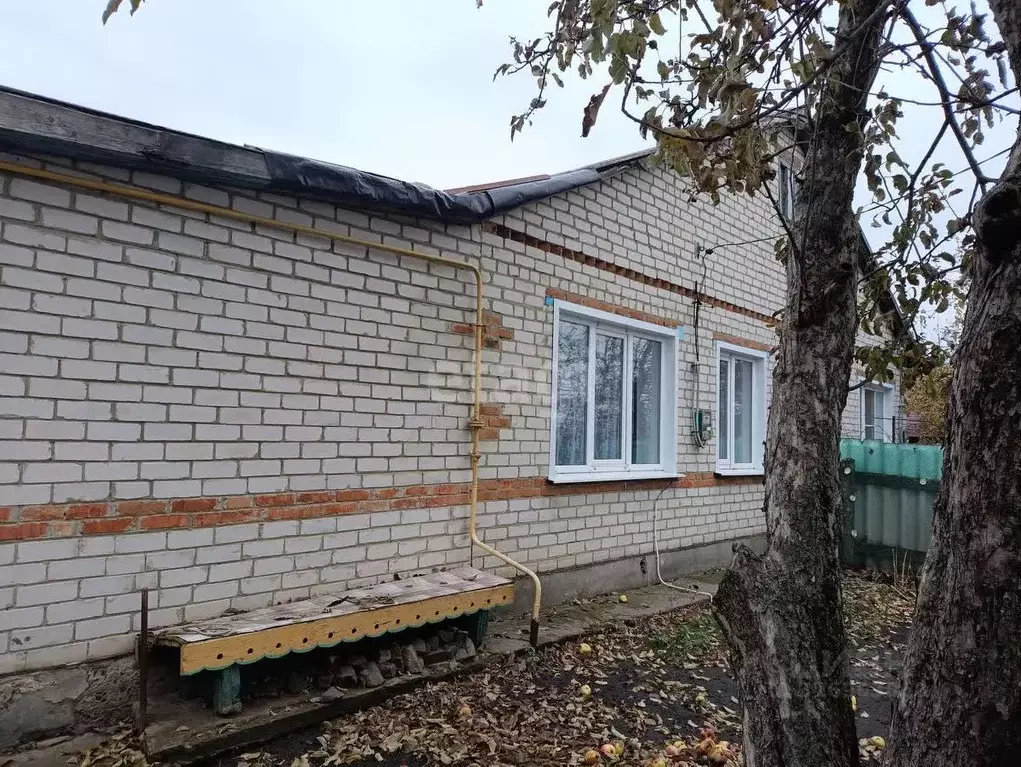 Дом в Белгородская область, Вейделевский район, с. Закутское ул. ... - Фото 1