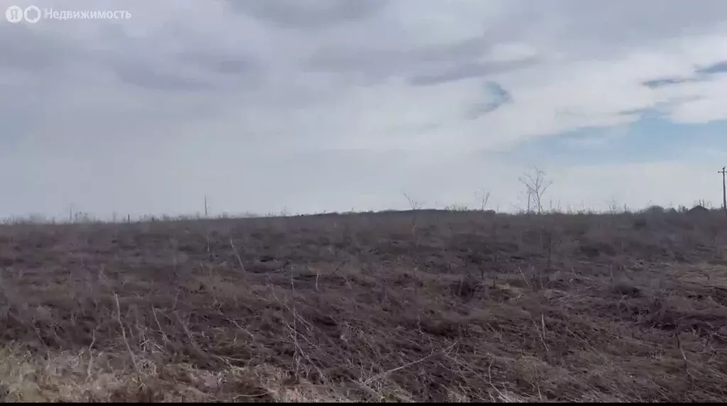 Участок в Тульская область, Венёвский муниципальный округ, посёлок ... - Фото 2