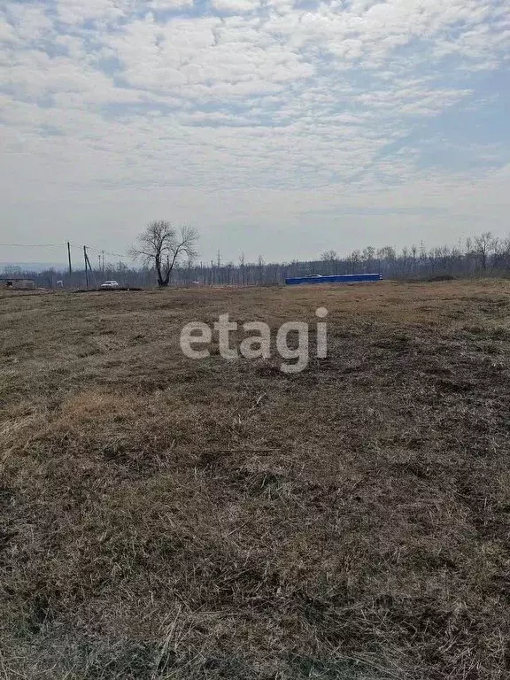 Участок в Белгородская область, Белгородский район, Беломестненское ... - Фото 1