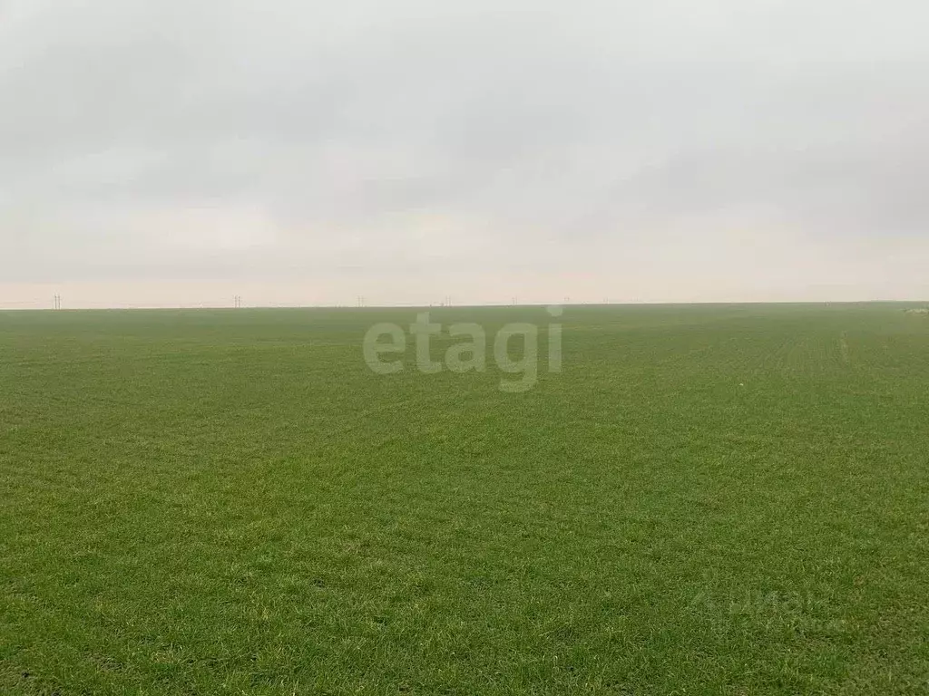 Участок в Крым, Красногвардейский район, с. Пятихатка  (654.0 сот.) - Фото 2