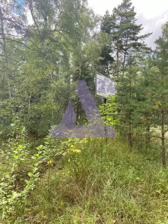 Участок в Алтайский край, Барнаул городской округ, пос. Черницк ул. ... - Фото 0