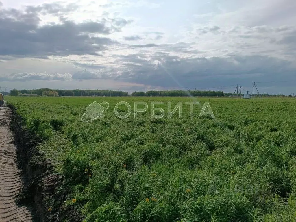 Участок в Тюменская область, Тюменский район, с. Каменка  (7.55 сот.) - Фото 1