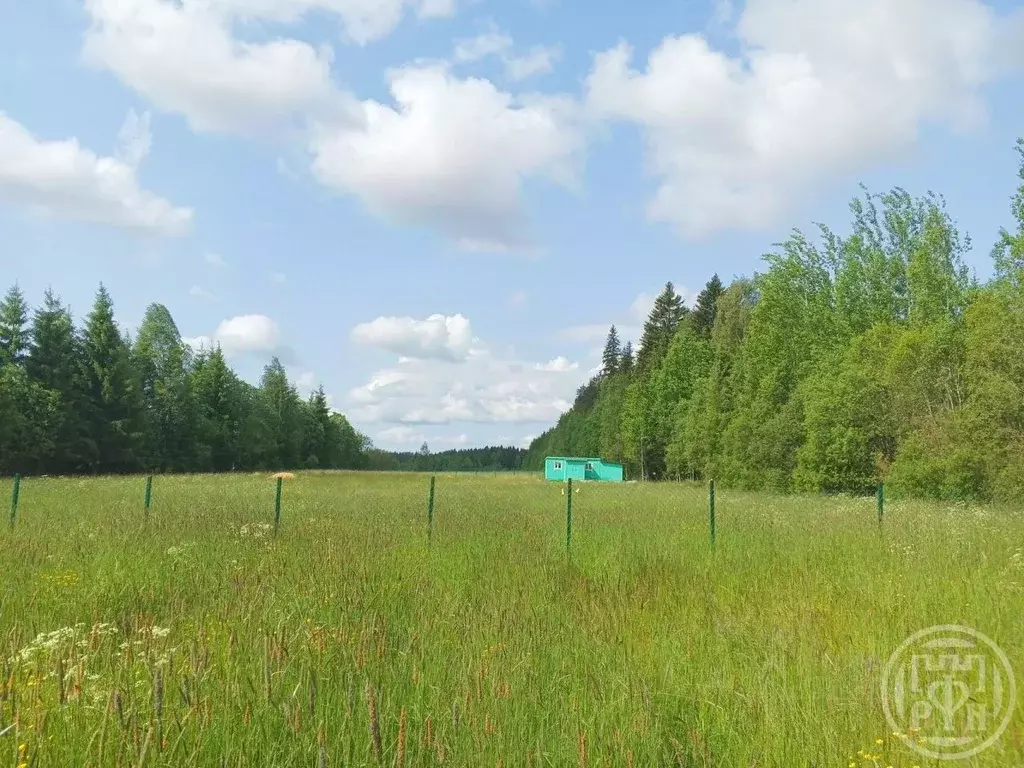 Участок в Ленинградская область, Выборгский район, Полянское с/пос, ... - Фото 1