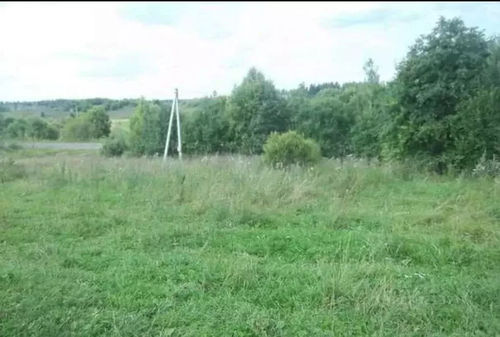 Участок в Новгородская область, Валдайский район, Костковское с/пос, ... - Фото 2