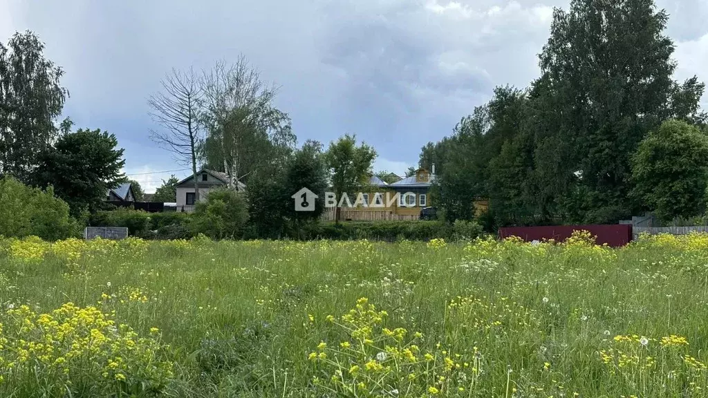 Участок в Нижегородская область, Ворсма Павловский район, Лесной пер. ... - Фото 2