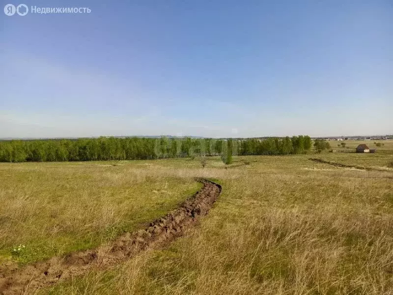 Участок в Красноярский край, посёлок городского типа Емельяново ... - Фото 1