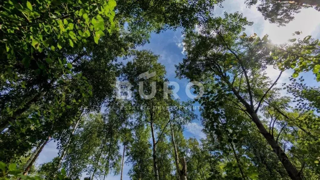 Участок в Московская область, Одинцовский городской округ, пос. дома ... - Фото 0