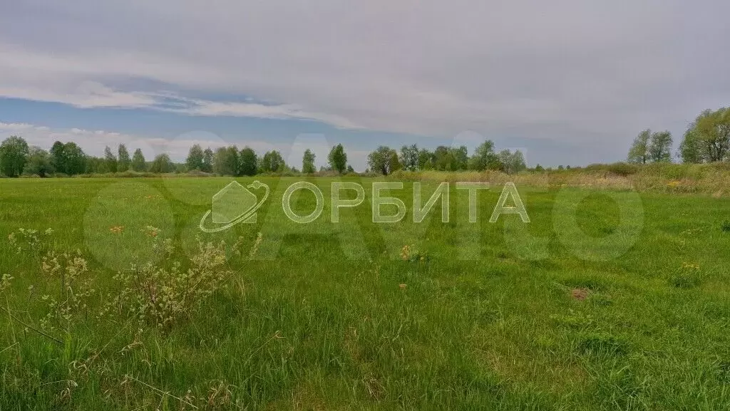 Участок 10 сот. (СНТ, ДНП) - Фото 1
