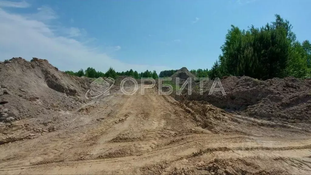 Участок в Тюменская область, Нижнетавдинский район, Березка СНТ  (7.0 ... - Фото 1