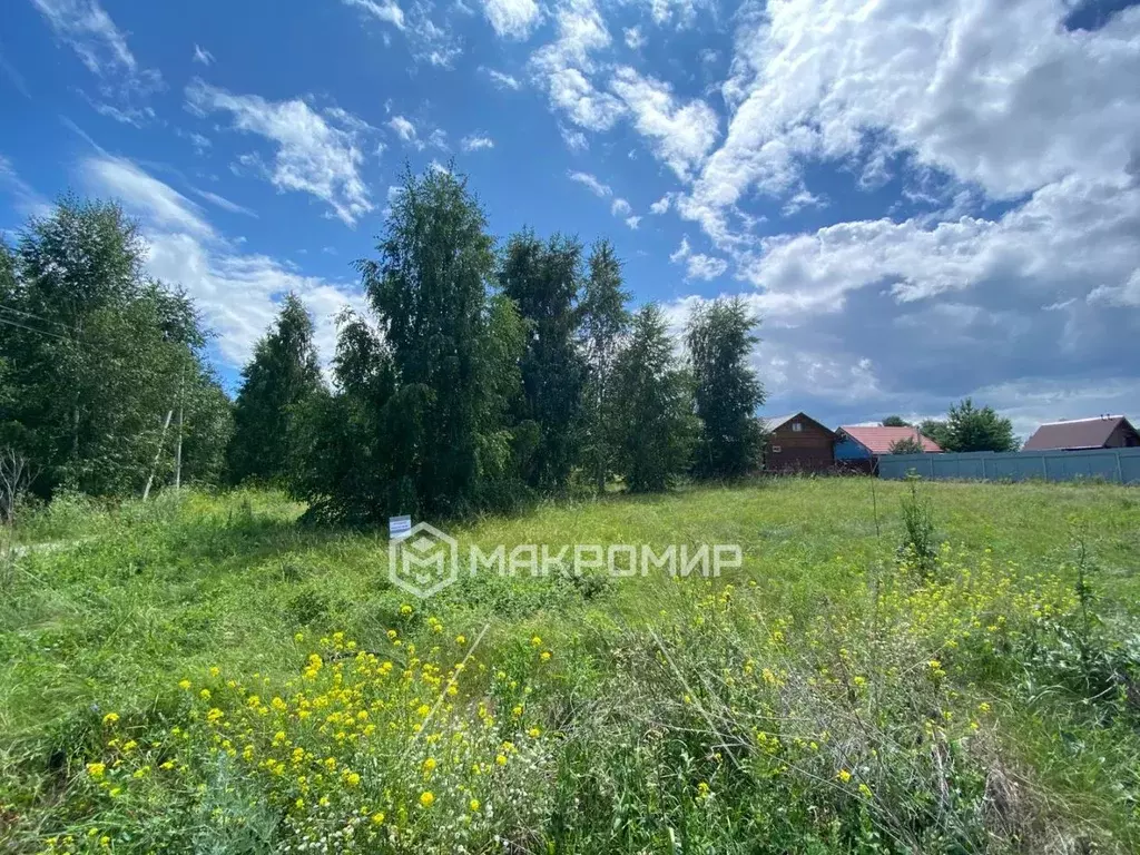 Участок в Новосибирская область, Искитимский район, Чернореченский ... - Фото 0