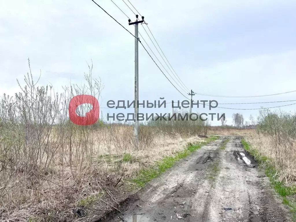 Участок в Тюменская область, Тюмень Поле Чудес садовое товарищество, ... - Фото 0