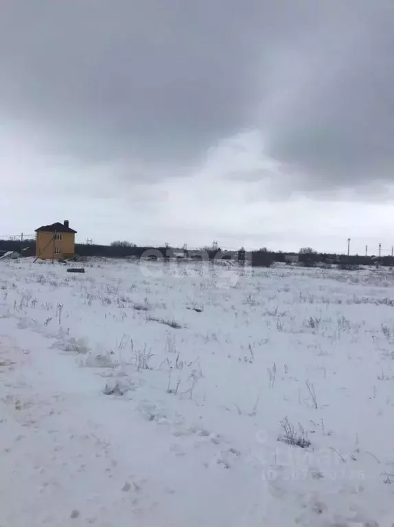 Участок в Саратовская область, с. Боковка ул. Лесная (10.0 сот.) - Фото 0