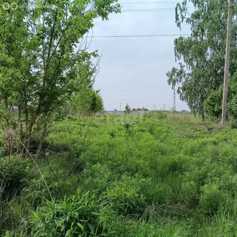 Участок в деревня Стаево, Луговая улица (9 м) - Фото 1