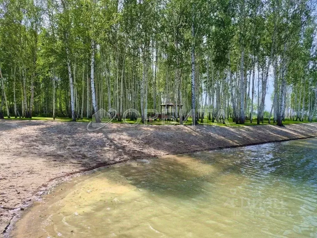Участок в Тюменская область, Нижнетавдинский район, Тюневское с/пос, 7 ... - Фото 1