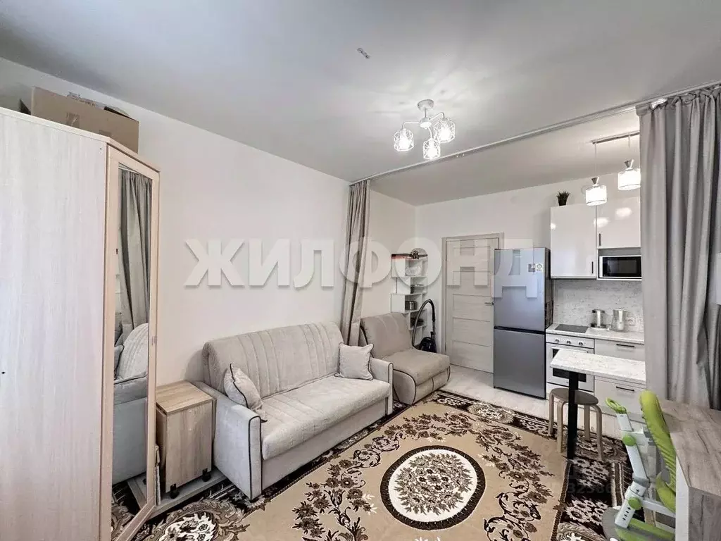 Студия Санкт-Петербург просп. Ветеранов, 196 (24.6 м) - Фото 0