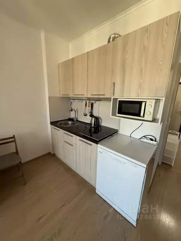 Студия Санкт-Петербург просп. Ветеранов, 169к3 (27.0 м) - Фото 1