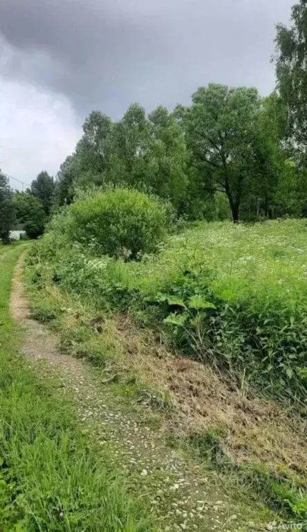 Участок в Калужская область, Боровский район, Совьяки с/пос, д. Лучны  ... - Фото 0